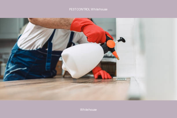 PEST CONTROL Whitehouse